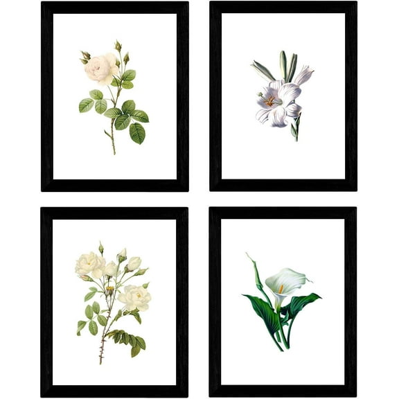 Canvas Poster Unframed Botanical Posters Set of 4 White Background Bright Flowers Posters Set Various Backgrounds to Choose From Size A4 No Frame