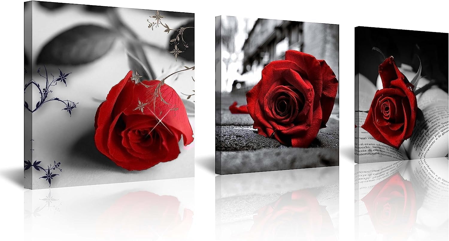 Red Rose Black and White Abstract Canvas Art Set