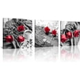 thumbnail image 1 of Canvas Print 3 Pcs Black and White Red Rose Canvas Art Painting Abstract Wall Art Decorations Flower Picture on Canvas for Home Decor Stretched and Framed (14X14inchX3pcs, B&w Rose), 1 of 6