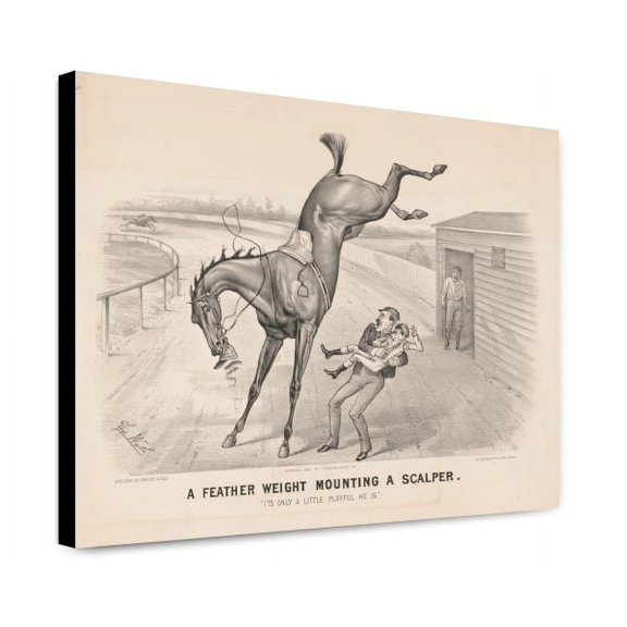 Canvas Print: A Feather Weight Mounting A Scalper: It's Only A Little Playful He