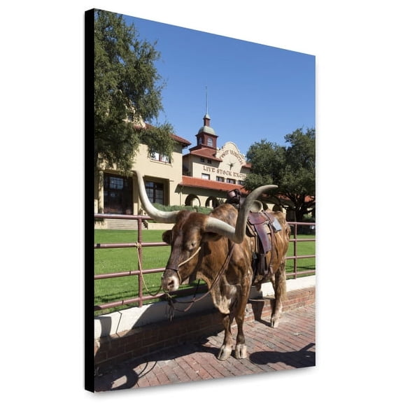 Canvas Print: A Longhorn Cow, Awaiting A Roundup (For Tourists' Benefit) In The