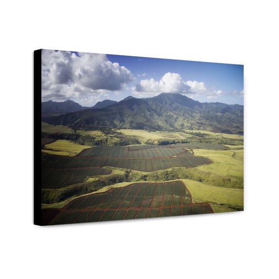 Canvas Print: Aerial View Of Pineapple Fields, Oahu, Hawaii, 2005