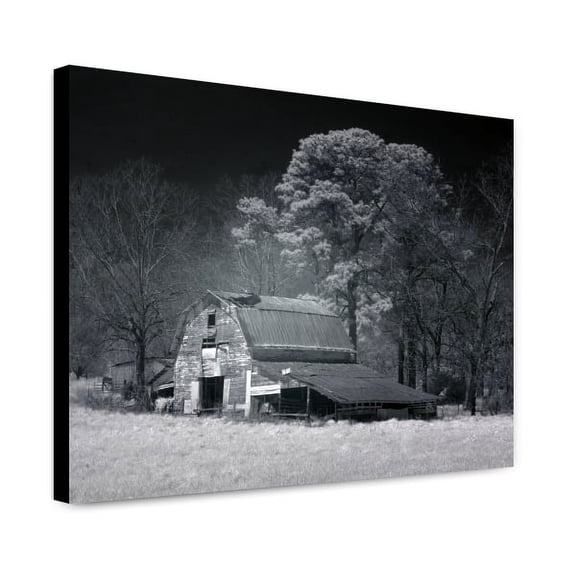 Canvas Print: Barn, Dothan, Alabama, 2010