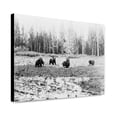 thumbnail image 1 of Canvas Print: Bear At Lake Hotel, 1913, 1 of 3