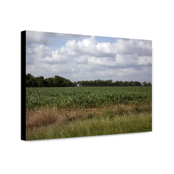 Canvas Print: Beautiful Communities And Rural Scenes In Baldwin County, Alabama