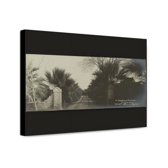 Canvas Print: Casa Blanca Driveway, Phoenix, Ariz., 1908