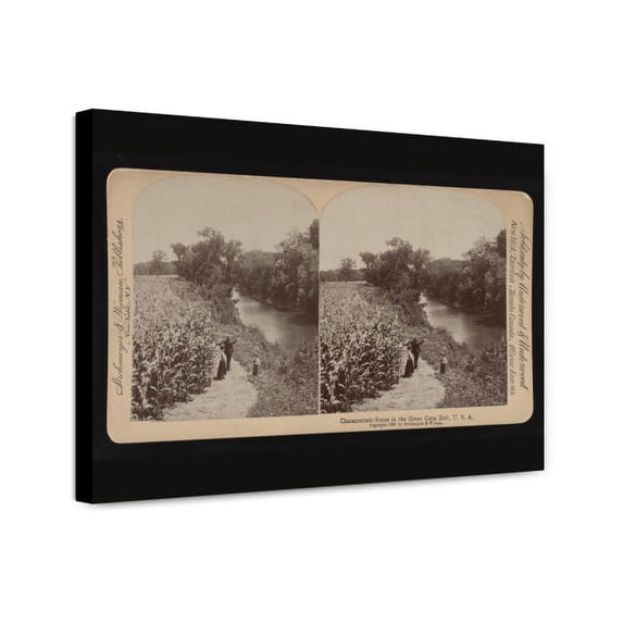 Canvas Print: Characteristic Scene In The Great Corn Belt, U.S.A., 1897
