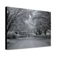 thumbnail image 1 of Canvas Print: Chasley, Monroe County, Alabama, 2010, 1 of 3