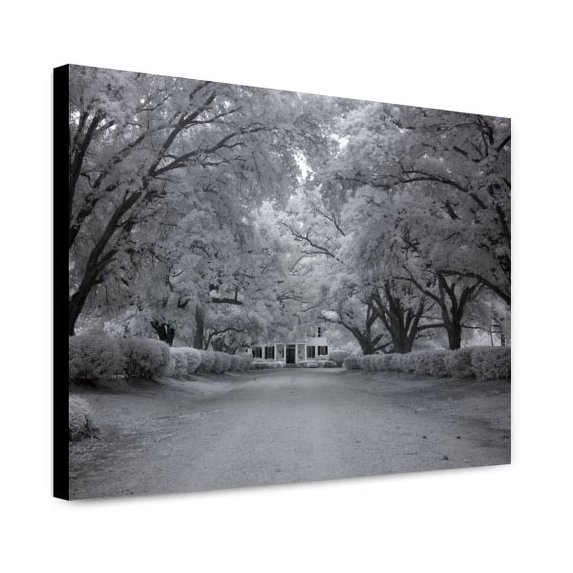 Canvas Print: Chasley, Monroe County, Alabama, 2010