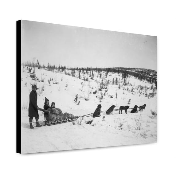 Canvas Print: Dog Sled Team, 1910