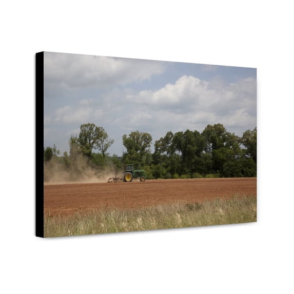 Canvas Print: Farmland In Monroe County, Alabama, 2010