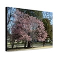 thumbnail image 1 of Canvas Print: First Signs Of Spring In Capitol Park In Tuscaloosa, Alabama, 2010, 1 of 3