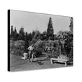 thumbnail image 1 of Canvas Print: Gardener Pushing Lawn Mower, Posed To Illustrate Rudyard Kipling's, 1 of 3
