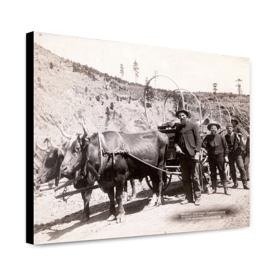 Canvas Print: Gold Fever. Prospectors Going To The New Gold Field, 1889