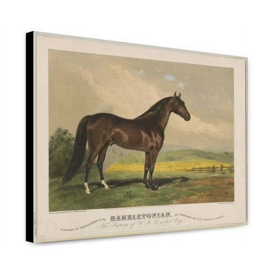 Canvas Print: Hambletonian