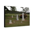 thumbnail image 1 of Canvas Print: Historic Cemetery In A Pasture In Monroe County, Alabama, 2010, 1 of 3
