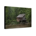 thumbnail image 1 of Canvas Print: Historic Rikard's Mill Is A Truly Historic Site Near Beatrice, 1 of 3