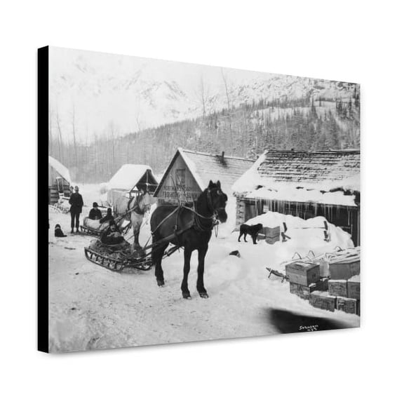 Canvas Print: Horses Pulling Sleds On The Valdez Trail, circa 1900