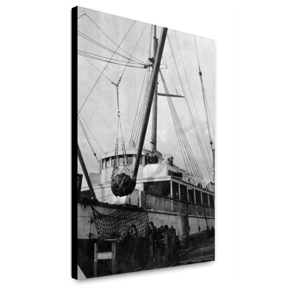 Canvas Print: Loading Copper On Ship, circa 1900