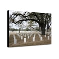 thumbnail image 1 of Canvas Print: Magnolia Cemetery, Mobile, Alabama, 2010, 1 of 3