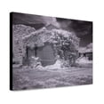 thumbnail image 1 of Canvas Print: Mcmillan Reservoir, Washington, D.C., 2010, 1 of 3