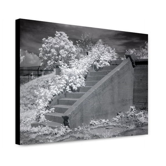 Canvas Print: Mcmillan Reservoir, Washington, D.C., 2010