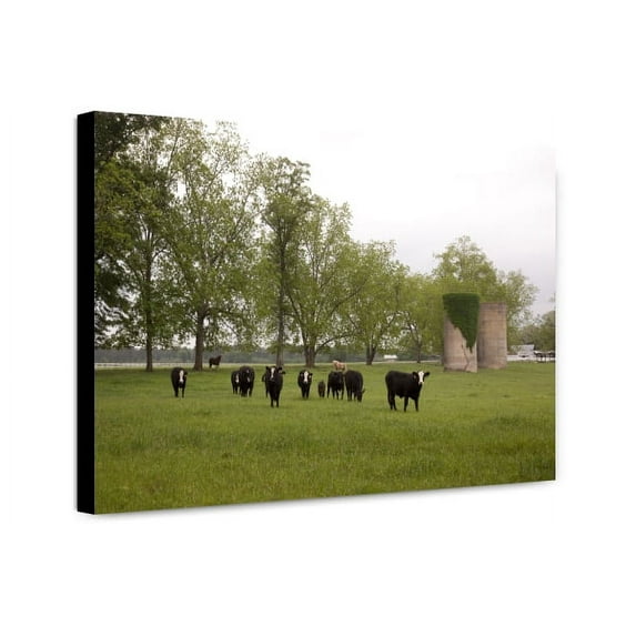 Canvas Print: Meadowbank Farm Located On Highway 84 In A Bend Of The Alabama