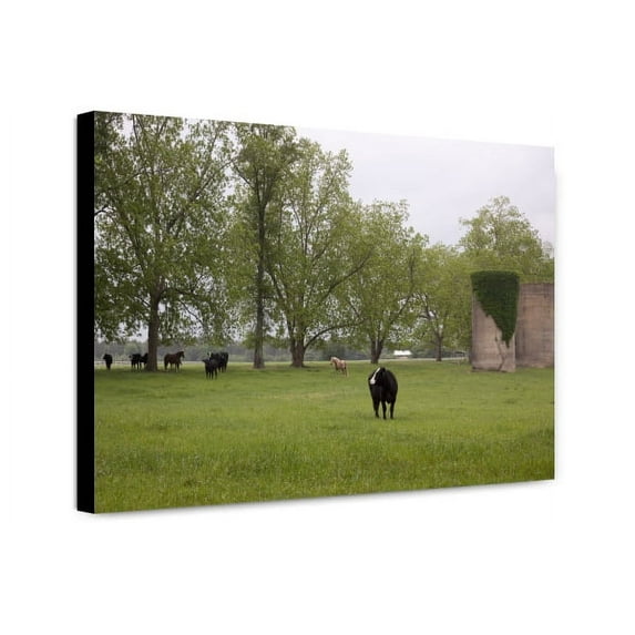 Canvas Print: Meadowbank Farm Located On Highway 84 In A Bend Of The Alabama