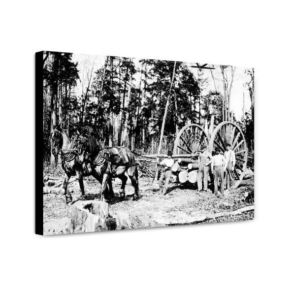 Canvas Print: Modern Methods In Woods At Cadillac, circa 1915