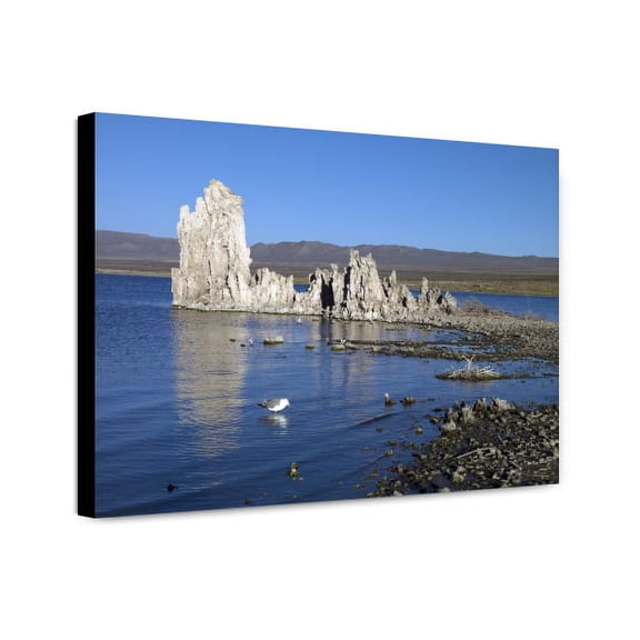 Canvas Print: Mono Lake, California, 2007