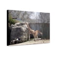 thumbnail image 1 of Canvas Print: Montgomery Zoo, Montgomery, Alabama, 2010, 1 of 3