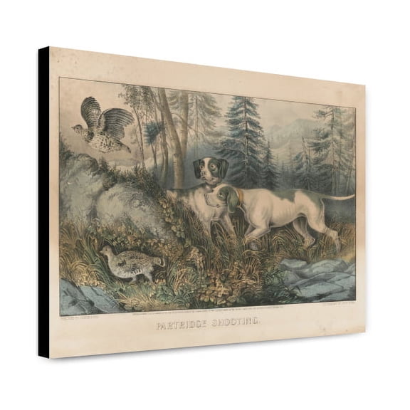 Canvas Print: Partridge Shooting, 1870