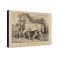 thumbnail image 1 of Canvas Print: Percheron Stallion Duc De Chartres, Imported By A. Rogy: Winner Of, 1 of 3