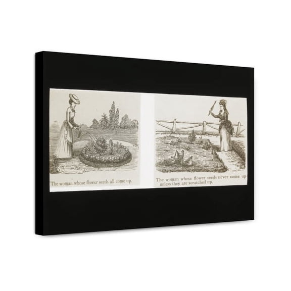 Canvas Print: Reproduction Of Illustrations Showing Women And Flower Seeds, circa
