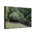 thumbnail image 1 of Canvas Print: Rock Creek Park, NW, Washington, D.C., 2010, 1 of 3