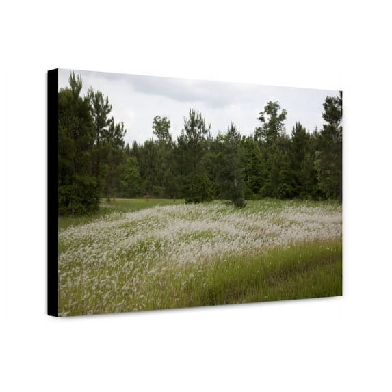 Canvas Print: Rural Alabama, 2010
