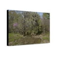 thumbnail image 1 of Canvas Print: Rural Alabama In The Spring, 2010, 1 of 3