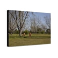 thumbnail image 1 of Canvas Print: Rural Alabama In The Spring, 2010, 1 of 3
