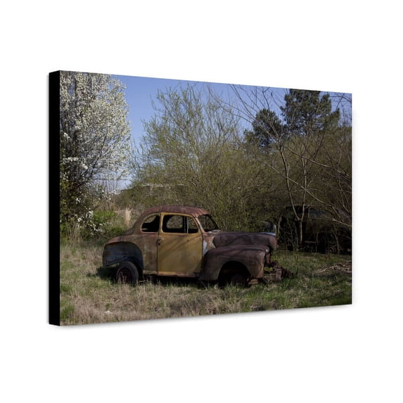 Canvas Print: Rural Alabama In The Spring, 2010