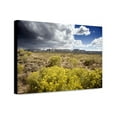 thumbnail image 1 of Canvas Print: Rural Colorado, 2006, 1 of 3