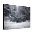 thumbnail image 1 of Canvas Print: Rural Scene In Alabama, 2010, 1 of 3