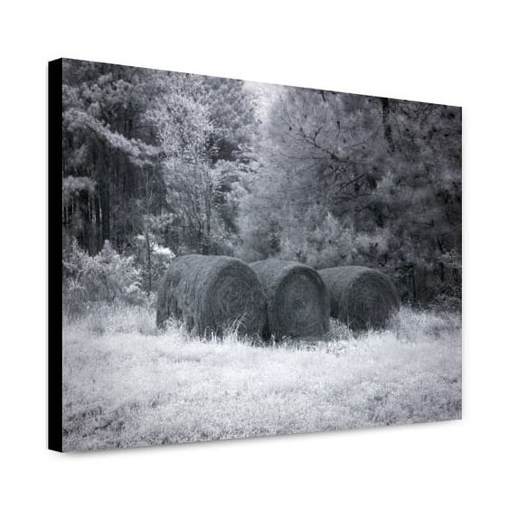 Canvas Print: Rural Scene In Alabama, 2010