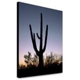 thumbnail image 1 of Canvas Print: Saguaro Cactus Near Tucson, Arizona, 2008, 1 of 3