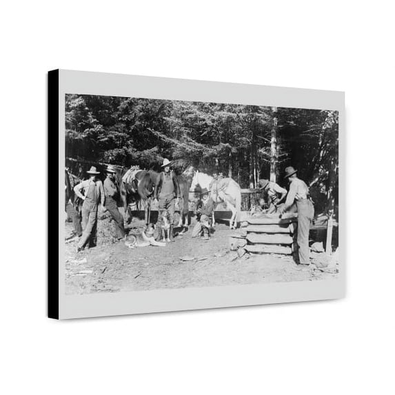 Canvas Print: Shoeing Horses In The Woods, Skaguay (Sic), Alaska, 1897