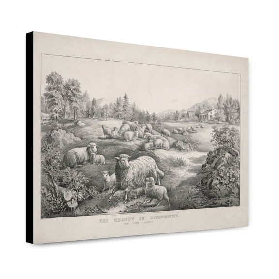 Canvas Print: The Meadow In Springtime: The Twin Lambs, 1867