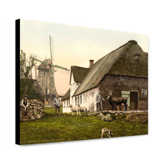Canvas Print: The Mill At Munkmarsch, Sylt, Schleswig-Holstein, Germany, circa