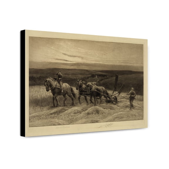 Canvas Print: The Reapers