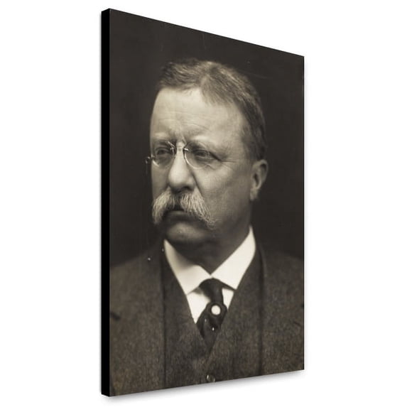 Canvas Print: Theodore Roosevelt, Head-And-Shoulders Portrait, Facing Left, 1915