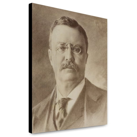 Canvas Print: Theodore Roosevelt, Head Portrait, Facing Front, 1904