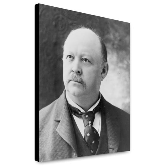 Canvas Print: Thomas Brackett Reed, Head-And-Shoulders Portrait, Facing Slightly